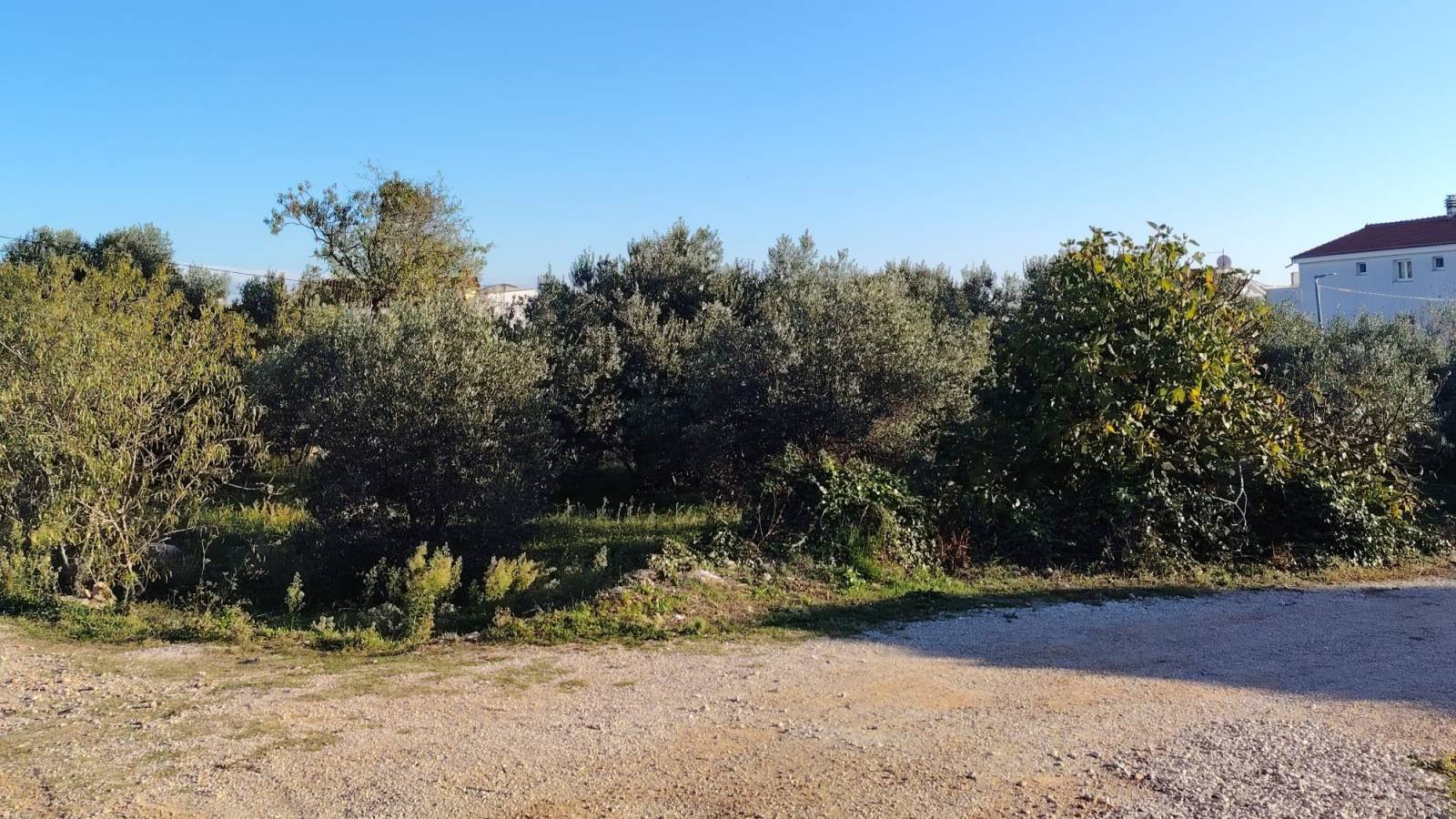 636535 - Grundstück in Tribunj