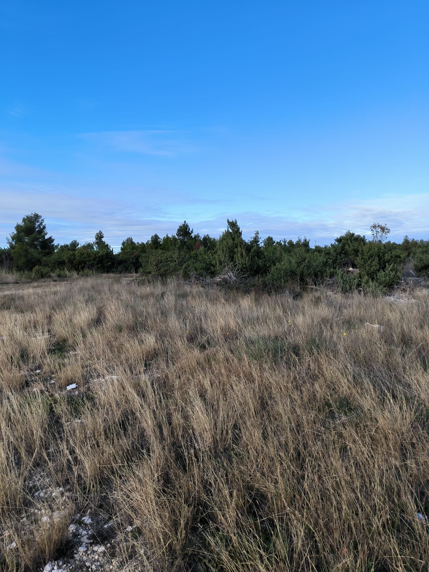 285648 - Grundstück in Drniš