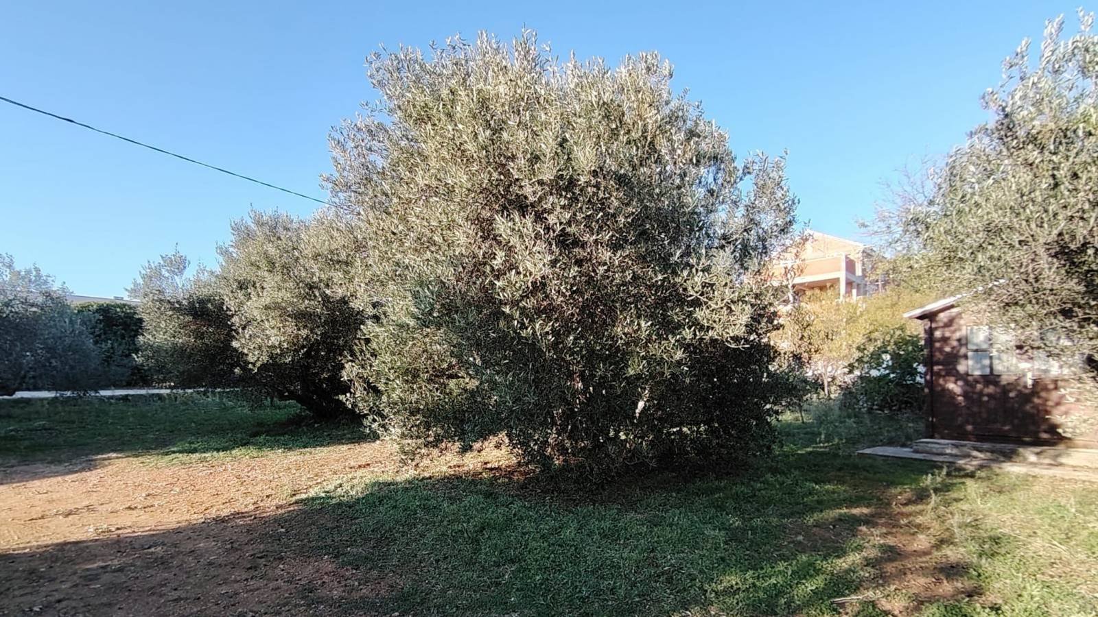 636535 - Grundstück in Tribunj